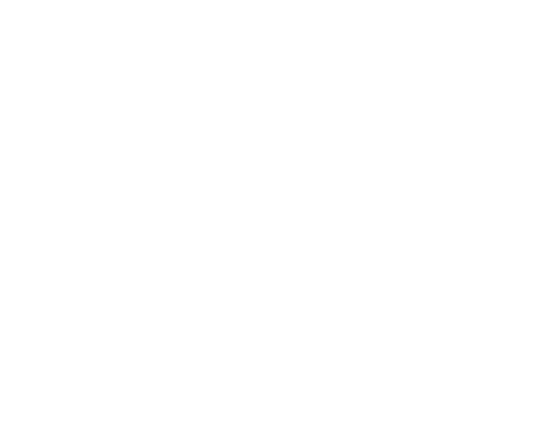 Waveform Line Icon